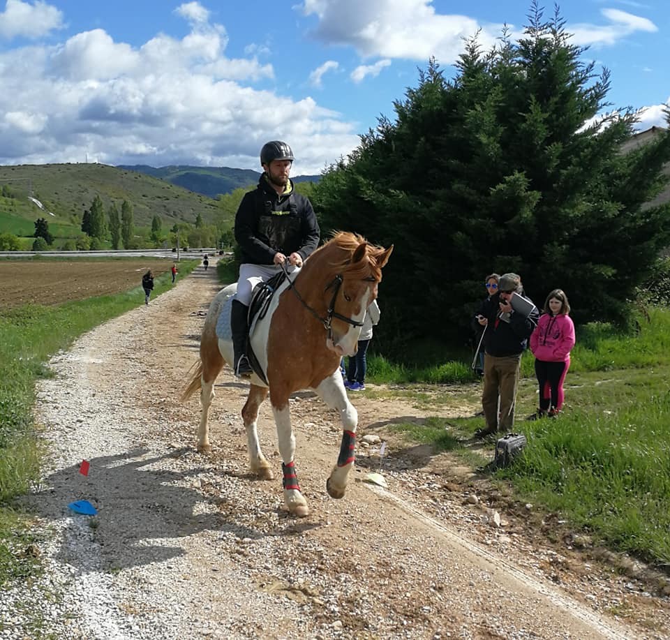 Resultados Concurso Nacional de Trec*** y Campeonato Navarro 2018